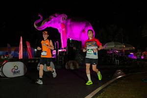 BIB: 
                            <button type="button" onclick="openModal(26543059)" class="btn btn-primary btn-sm float-right btn-popup" data-toggle="modal" data-target=".modal-high-quality">
                        <i class="fas fa-shopping-cart"></i> Add to Cart
                    </button>
                                            <button type="button" onclick="isThisMe(26543059, true)" class="btn btn-success btn-sm float-right btn-popup btn-isme hidden" data-toggle="tooltip" data-placement="bottom" title="นี่คือรูปของคุณใช่ไหม คลิกที่นี่เพื่อเอาเข้าอัลบั้ม">
                        <i class="fas fa-plus"></i> Add to album
                    </button>
                    <button type="button" onclick="isThisMe(26543059, false)" class="btn btn-warning btn-sm float-right btn-popup btn-isnotme hidden">
                        <i class="fas fa-ban"></i> Remove from album
                    </button>